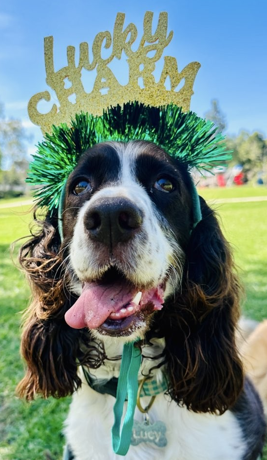 Screenshot 2026-03-17 at 2.38.32 PM.png