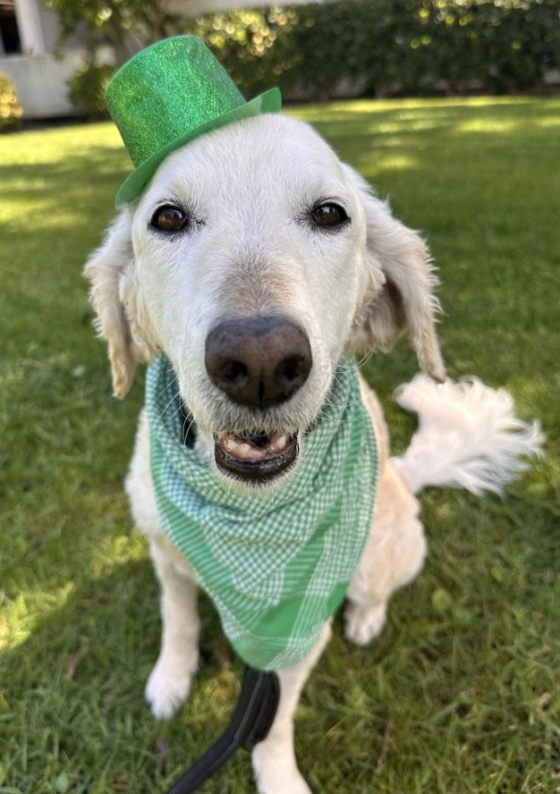 Screenshot 2026-03-17 at 2.39.05 PM.png