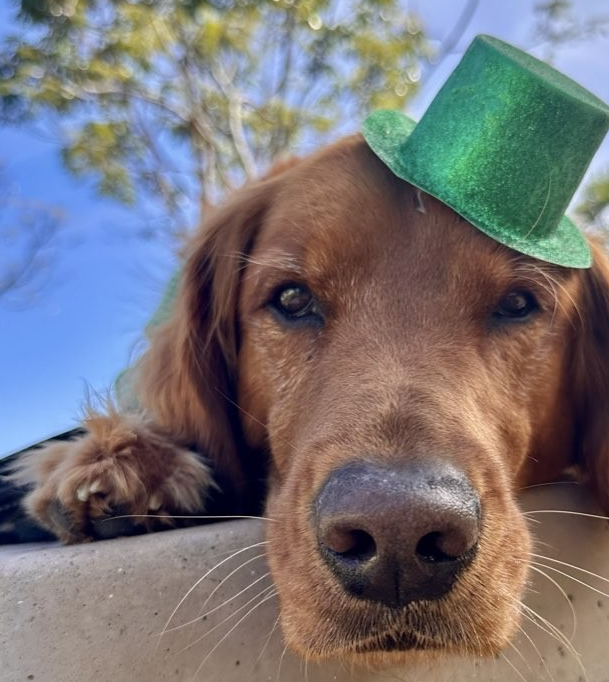 Screenshot 2026-03-17 at 2.39.52 PM.png