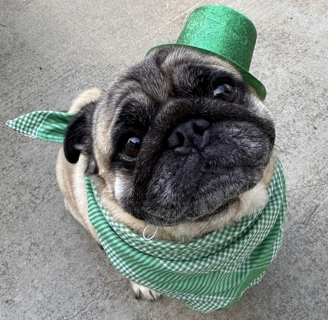 Screenshot 2026-03-17 at 2.41.15 PM.png