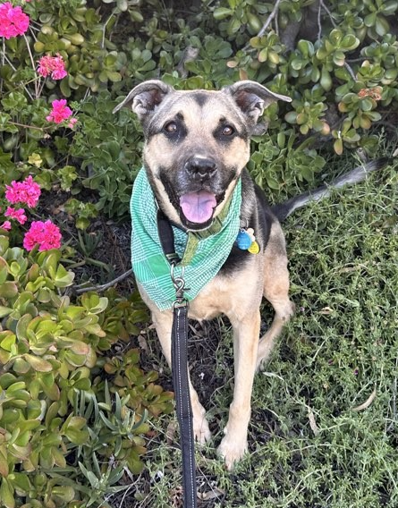 Screenshot 2026-03-17 at 2.42.23 PM.png