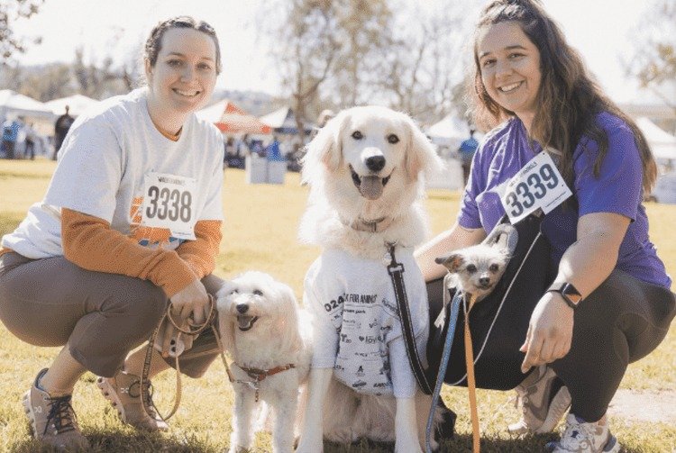 What an incredible day at the San Diego Humane Society's Walk for Animals at Kit Carson Park! The turnout was amazing, and together we helped raise vital funds for lifesaving medical care, shelter, rescue, and adoption programs for more than 40,000 p