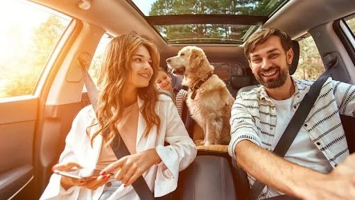 The Dog-Friendly Drive: Insights from CarOracle