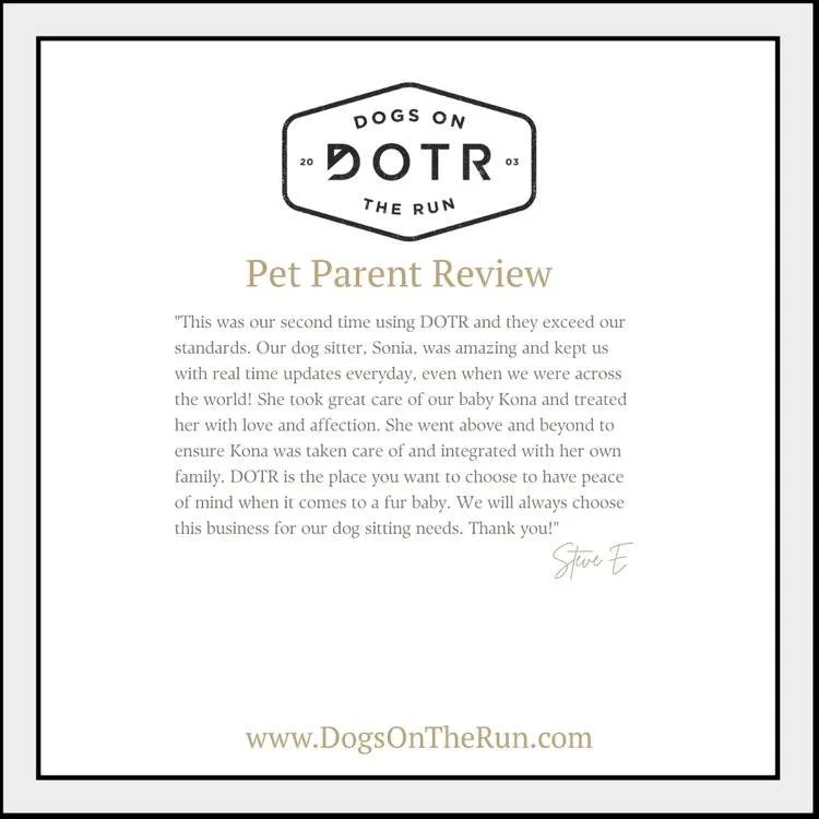 Real reviews. Real trust. Real relationships. This is what Dogs On The Run means to the families we serve.

From wedding day chaperones to daily walks, vacation care to professional pet sitting, every review reflects the consistency, dedication, and 