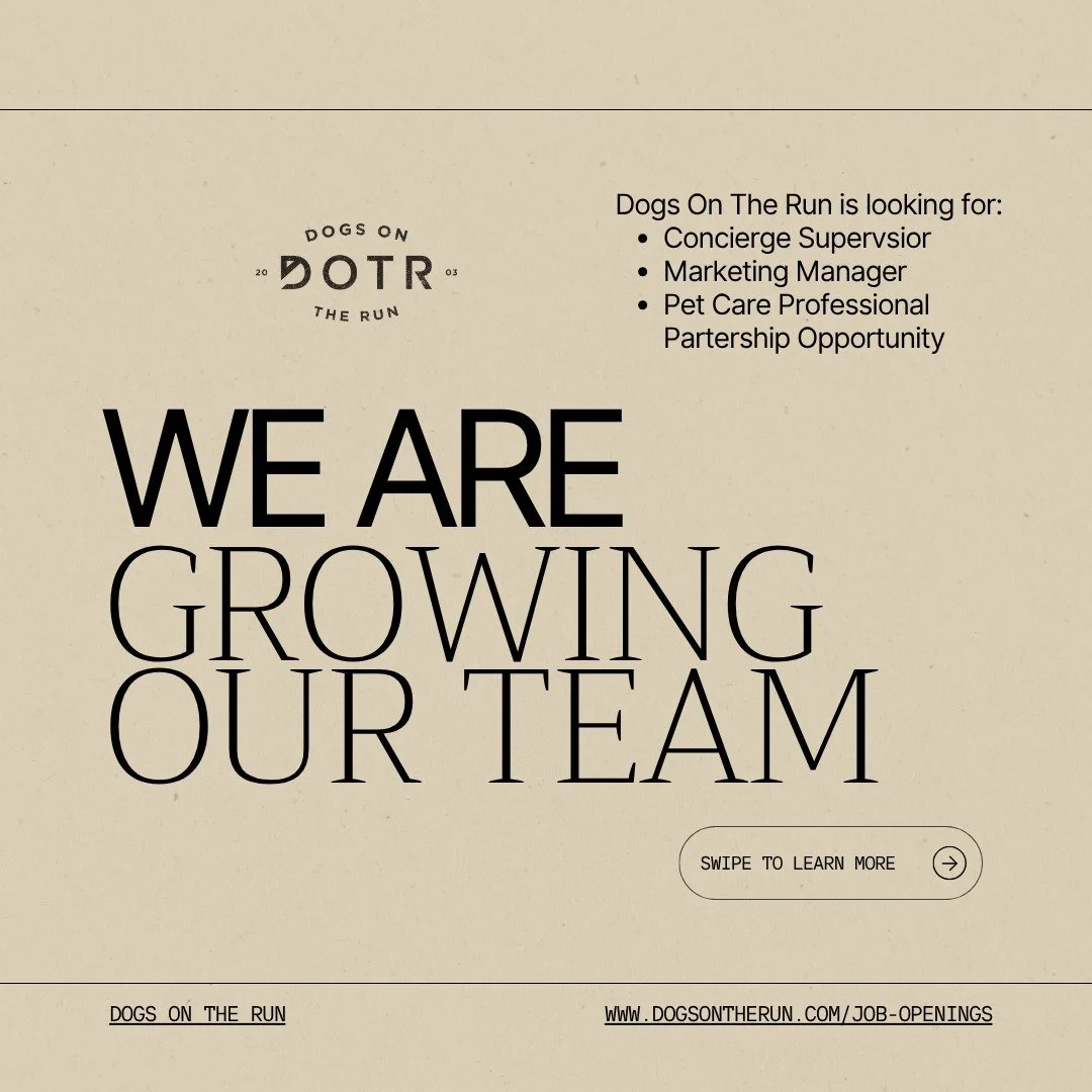 We're hiring! Dogs On The Run is growing and looking for passionate professionals to join our team in three key roles.

Concierge Supervisor: Lead our client care team with operational excellence and a sales-driven mindset.

Marketing Manager: Shape 