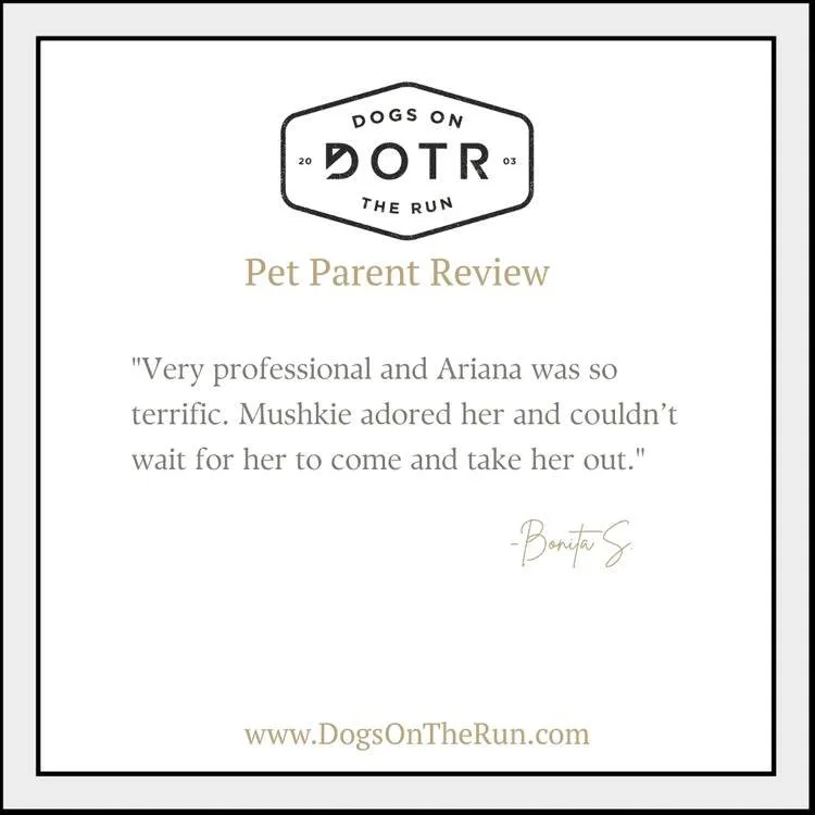 "Mushkie adored her and couldn't wait for her to come and take her out." This is the bond every pet parent hopes for when finding care for their furry family member.

Ariana built a genuine connection with Mushkie, and it shows. Professiona