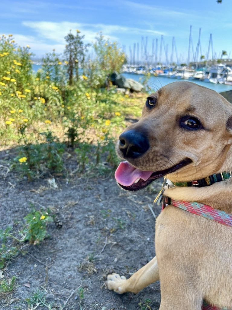 Adventure Season Done Right