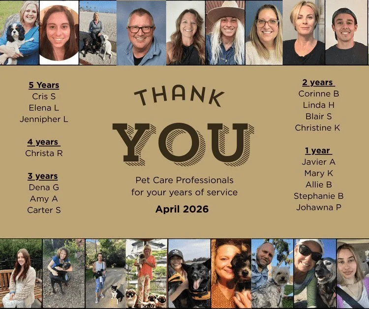 Celebrating our incredible Pet Care Professionals for their years of dedication, compassion, and exceptional care! From 1 year to 5 years of service, each of you makes Dogs On The Run what it is: a trusted, relationship-based community built on genui