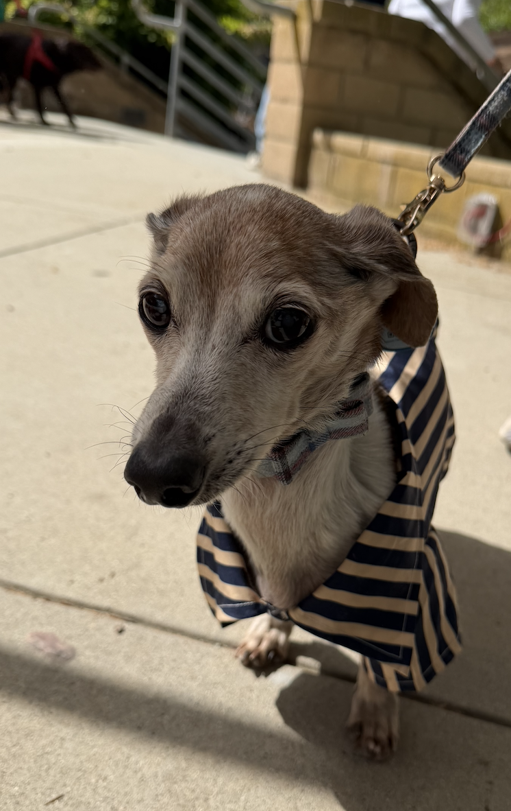 Screenshot 2026-04-16 at 11.24.47 AM.png