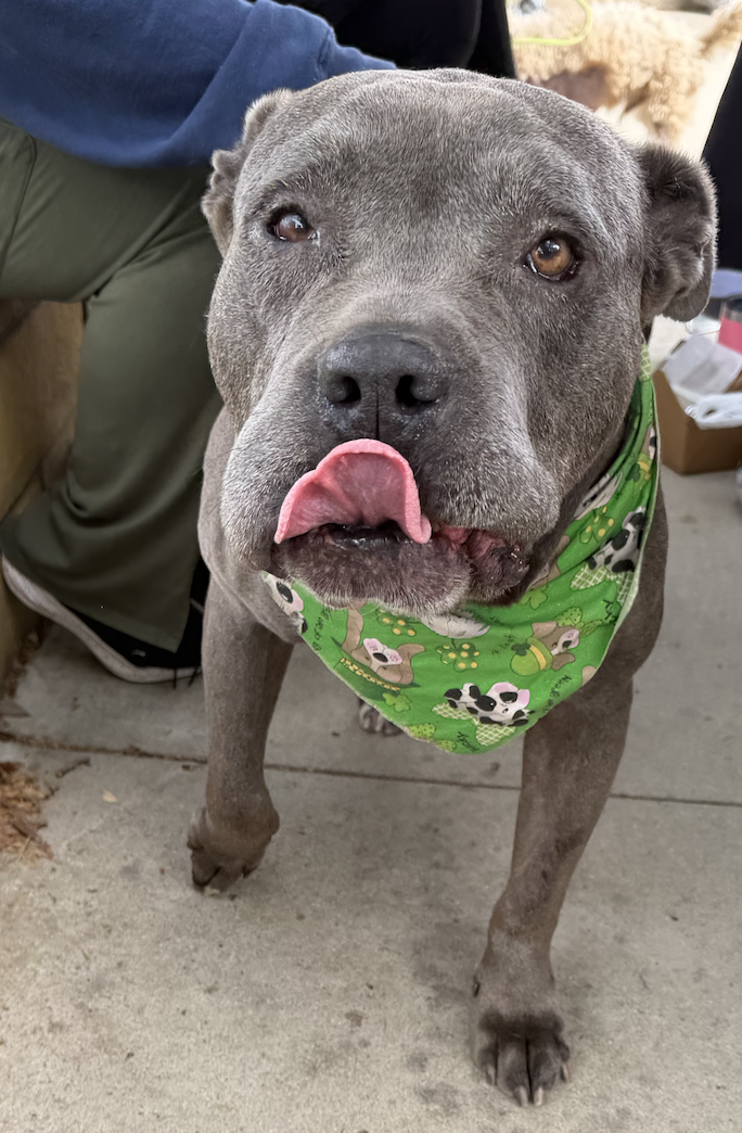 Screenshot 2026-04-16 at 11.24.26 AM.png