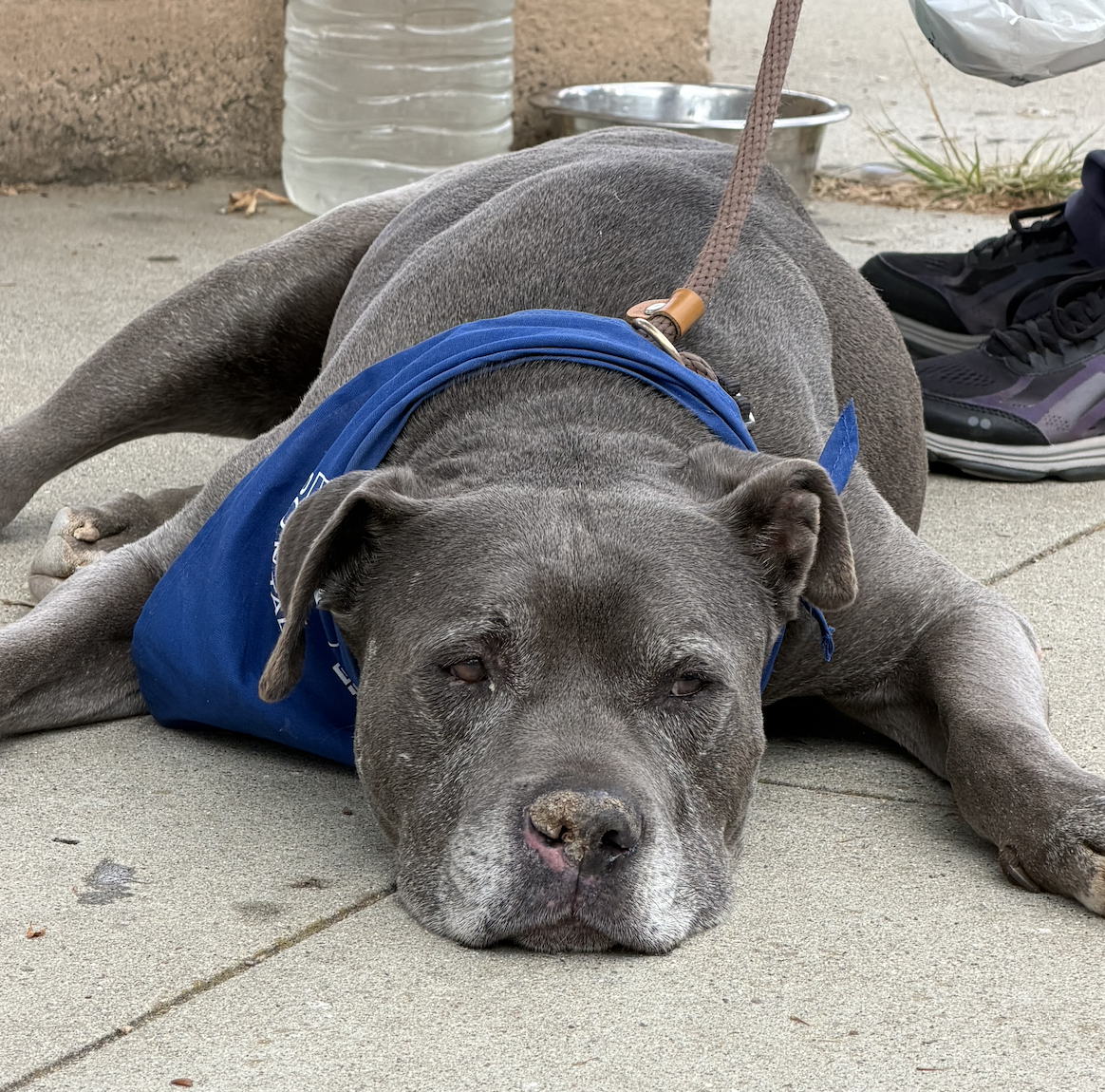 Screenshot 2026-04-16 at 11.24.38 AM.png