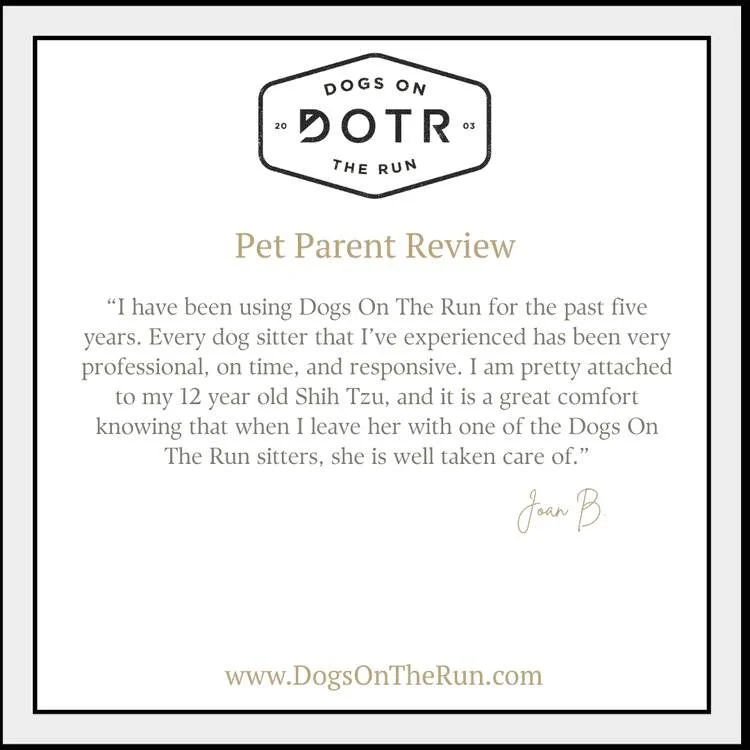 Five years of trust. That's the relationship Joan B has built with Dogs On The Run and the professional pet sitters who care for her 12 year old Shih Tzu.

Professional, on time, responsive, and deeply caring. This is the consistency that gives pet p
