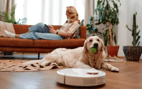 We love our smart homes, but do our pets? Automated feeders and robotic vacuums add convenience to our lives, but unexpected noises and movements can cause fear or even injury to curious animals. As pet care professionals, we always ensure your home 