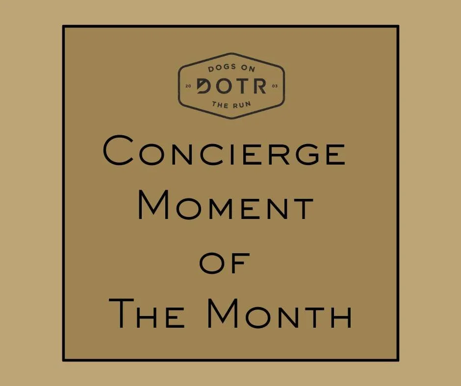 Every pet parent hopes for smooth sailing, but life with dogs can sometimes bring unexpected challenges. This month, we're sharing a real moment that highlights exactly what sets Dogs On The Run apart: our commitment to peace of mind. Even when an un