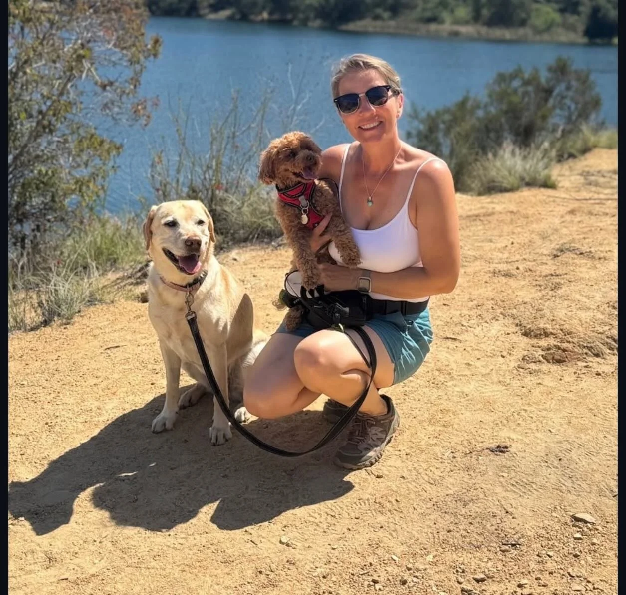 Pet sitters and dog walkers &mdash; how are you connecting with clients these days?

Are most of your bookings coming from word of mouth, social media, or app platforms?

We love hearing how other Pet Care Professionals are growing in this industry.
