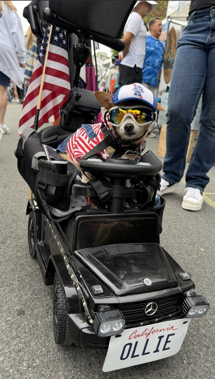 Community, Dogs &amp; Fun: DOTR at the Carlsbad Village Street Faire