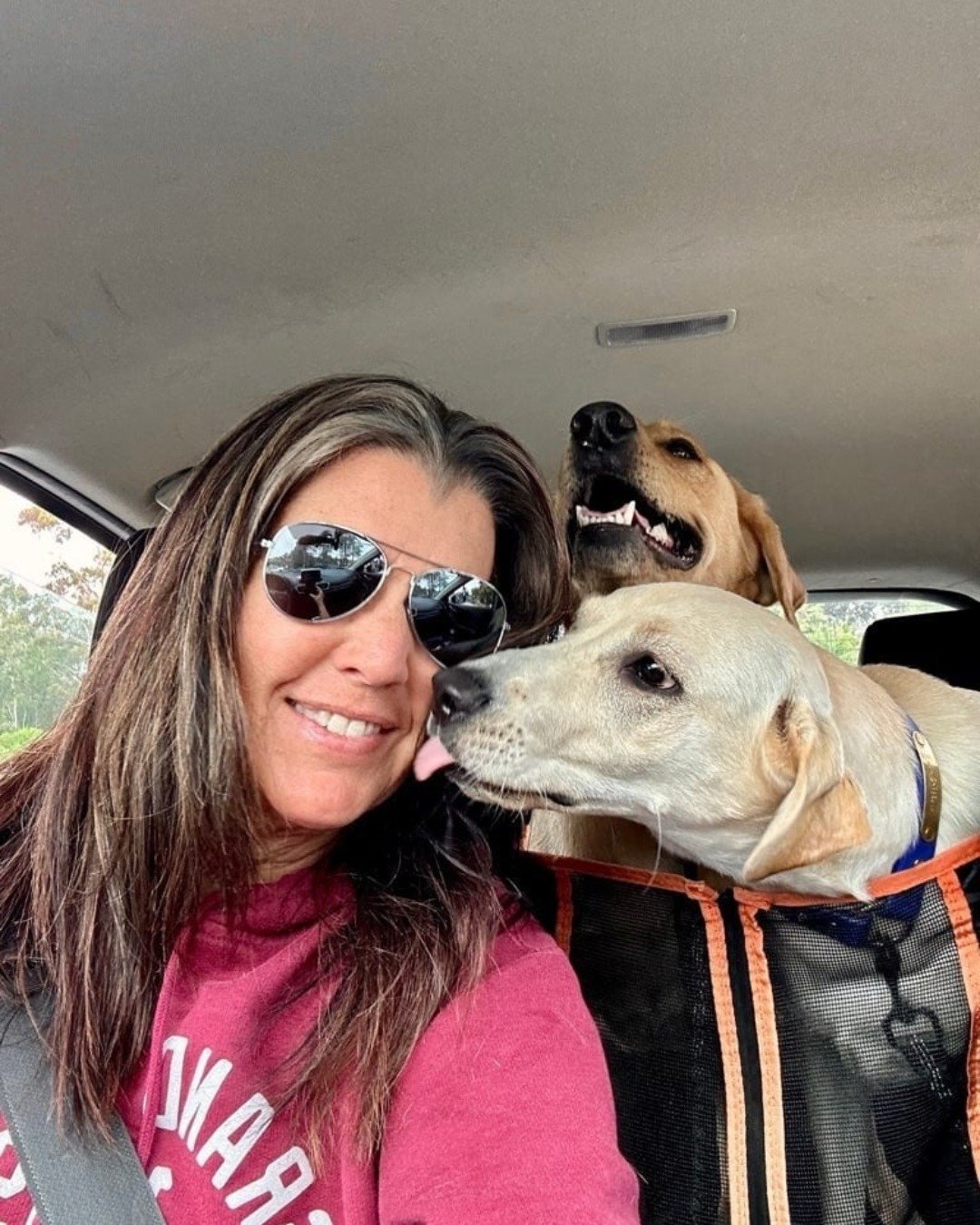 Pet care pros, we want your insight&hellip;

Where are you finding your best clients lately? Referrals, apps, or social media?

We&rsquo;re a local pet care concierge building partnerships with experienced sitters and walkers, connecting you with pet