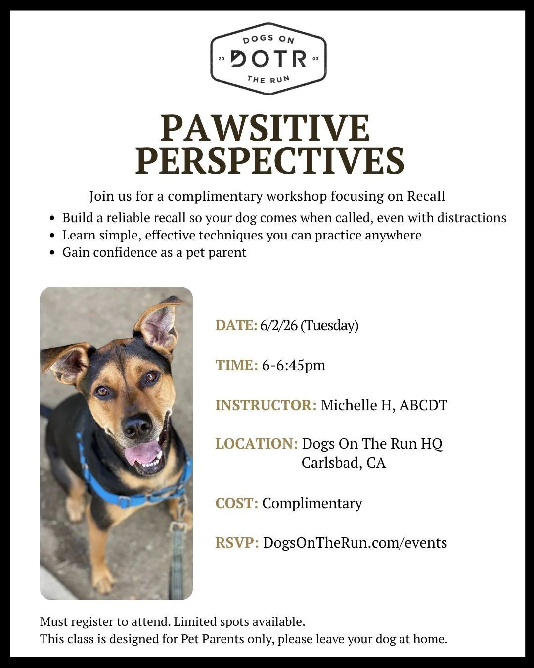 Pawsitive Perspectives is back on June 2

Join us for a complimentary 45-minute workshop designed for devoted Pet Parents who want to better understand their dogs and build stronger communication.

This session focuses on Recall, helping you create a