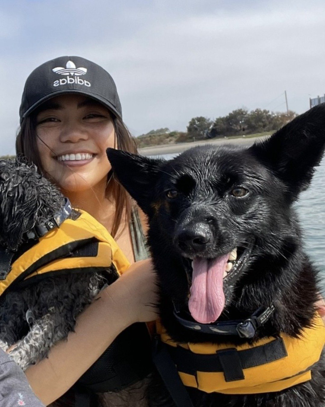 Pet sitters and dog walkers, what&rsquo;s been working for you lately when it comes to finding new clients?

We know the landscape is always evolving and we&rsquo;re curious how others are navigating it. Are you leaning more on referrals, platforms, 