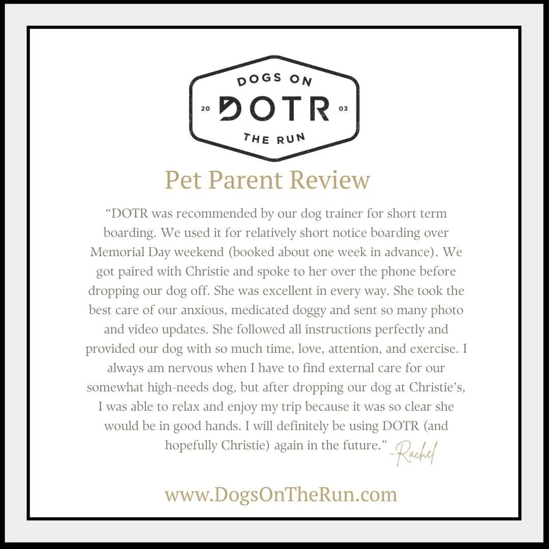 🐾 A big thank you to Rachel for this wonderful review 💛

We&rsquo;re so grateful for your trust in us and even more grateful to hear how supported you and your pup felt throughout the process. Feedback like this means everything to our team at Dogs