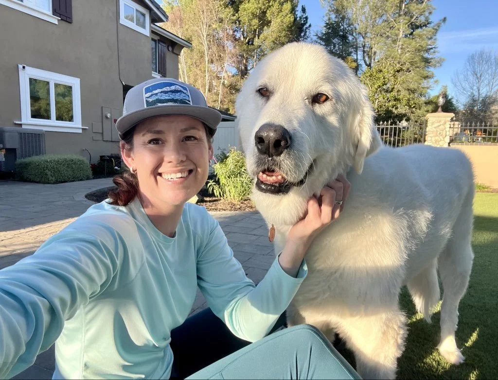 Creating Calm Exits &amp; Returns: Helping Your Dog Feel Safe When You're Away
