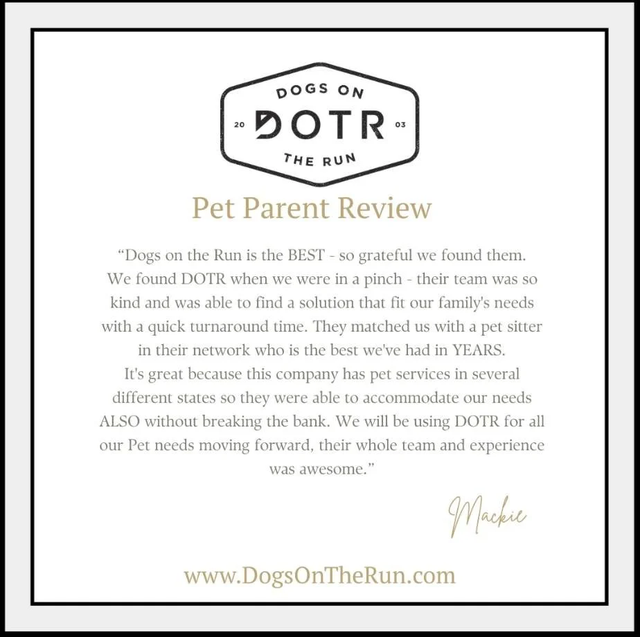 Pet Parent Reviews like this truly make our days here at Dogs On The Run&reg;:

&rdquo;Dogs on the Run is the BEST - so grateful we found them.
We found DOTR when we were in a pinch - their team was so kind and was able to find a solution that fit ou