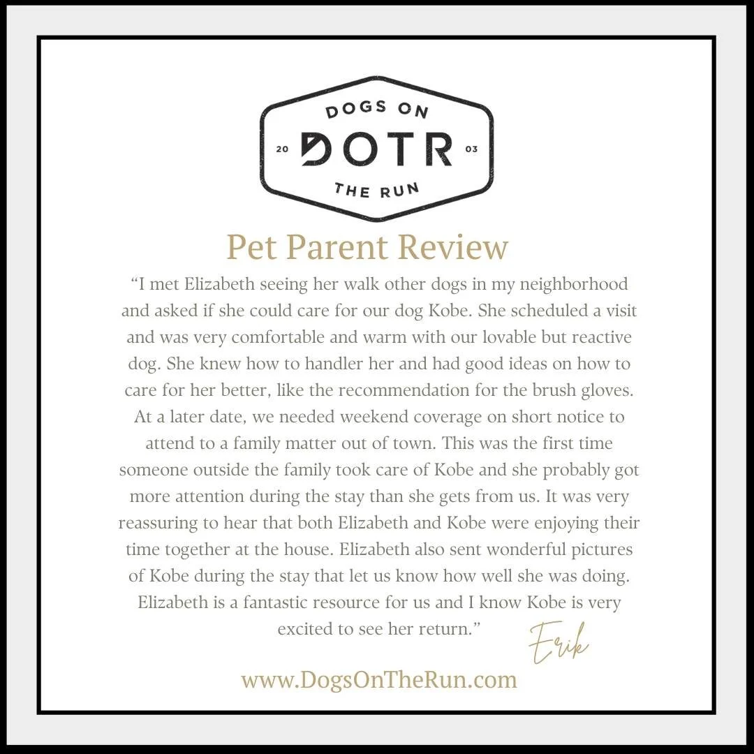The right match can make all the difference. 🐾

Every pet deserves care that's personalized to their unique needs, and every great relationship starts with the right connection.

Thank you, Erik, for trusting us to find a great Pet Care Professional