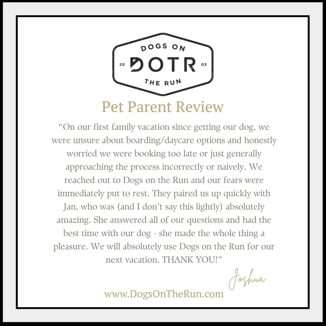 Vacation plans should feel exciting, not stressful. Whether you're a local Pet Parent or visiting Southern California with your dog, our trusted network of Independent Pet Care Professionals provides personalized vacation care that feels like home.

