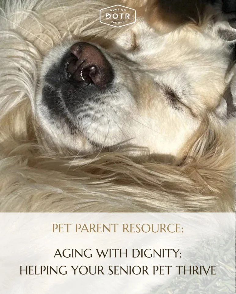 As our pets grow older, they rely on us in new ways. 👇

A little extra support can make a meaningful difference, whether that's more frequent potty breaks, medication reminders, gentle activity, or simply the comfort of a familiar face during the da