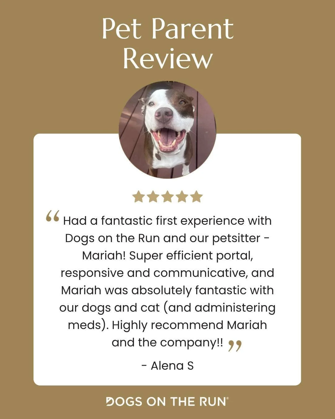 Some reviews highlight exactly why personalized pet care matters.

Did you know that Dogs On The Run&reg; partners with many independent Pet Care Professionals that have extensive experience in administering medications? For many Pet Parents, especia