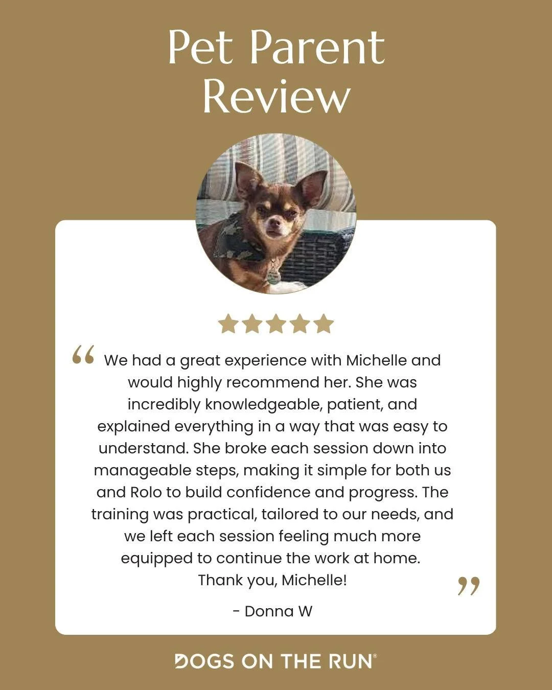 Nothing says it better than hearing it from a fellow Pet Parent.

Michelle has helped so many dogs and their families build confidence, improve communication, and enjoy training together. We're so grateful to have her sharing her expertise through Gr