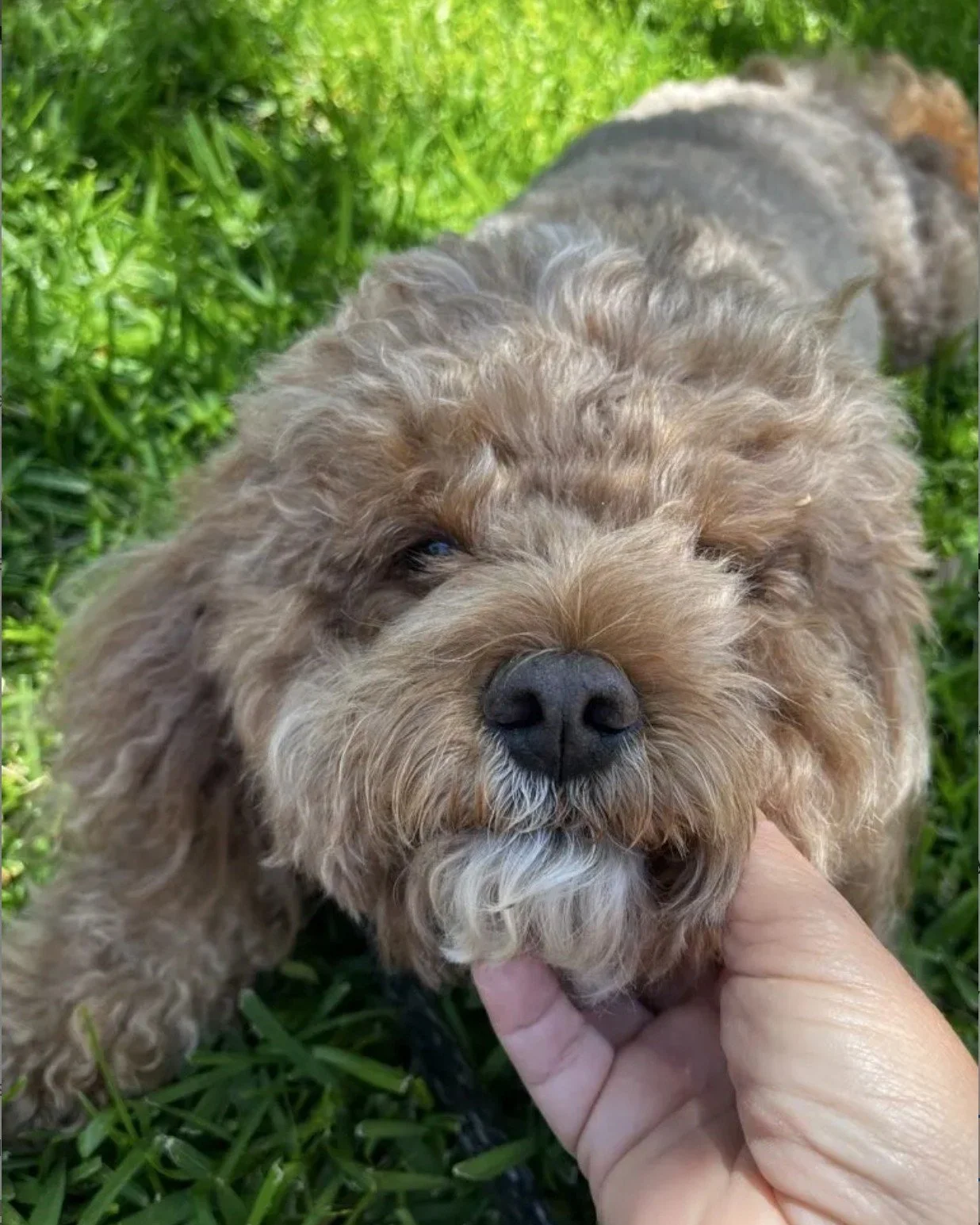 There&rsquo;s something special about knowing your pet has not just one trusted Pet Care Professional, but an entire Pet Care Professional care team who knows them, loves them, and shows up for them.
That&rsquo;s what we believe exceptional pet care 