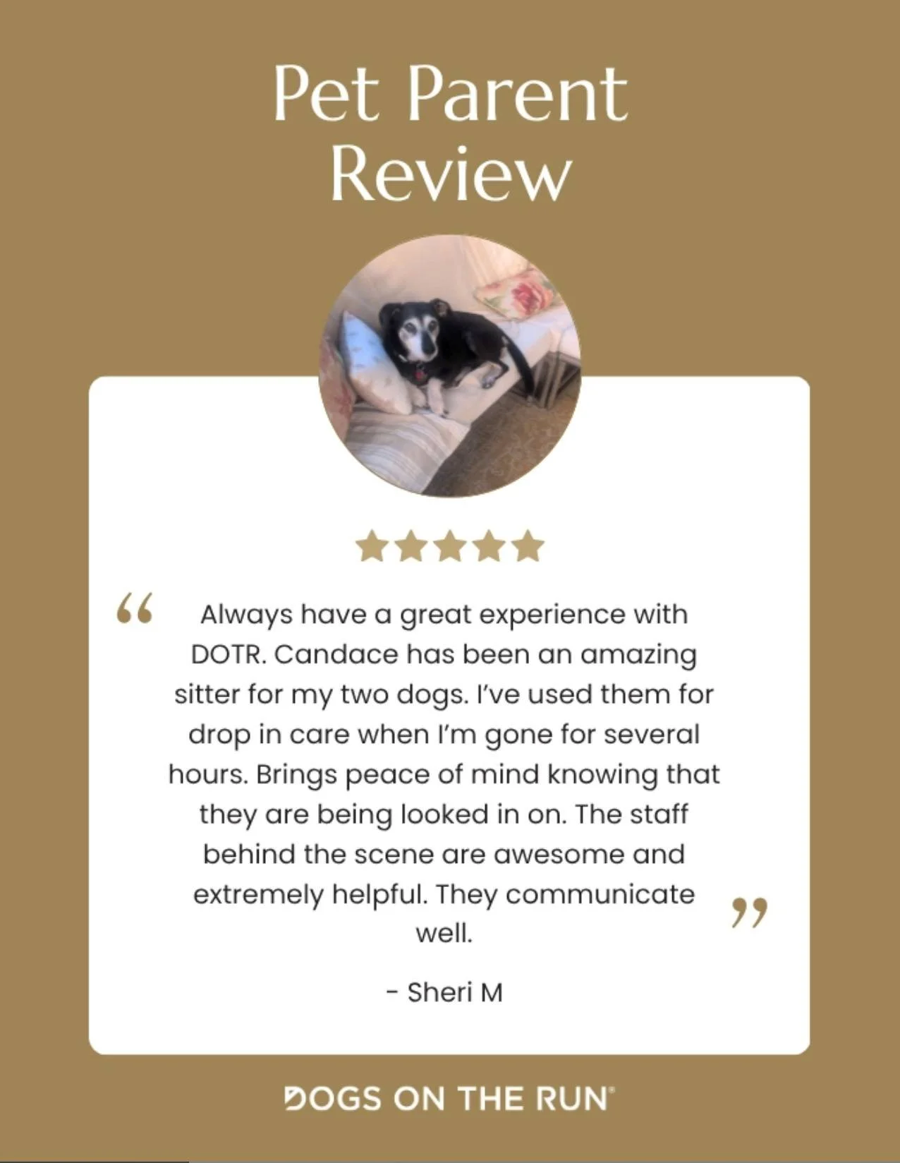 Peace of mind is a hard to describe until you have it.

Sheri shared that drop-in visits with Candace, her DOTR independent Pet Care Professional, have given her exactly that. A few hours away from her two dogs feels different when you know someone i