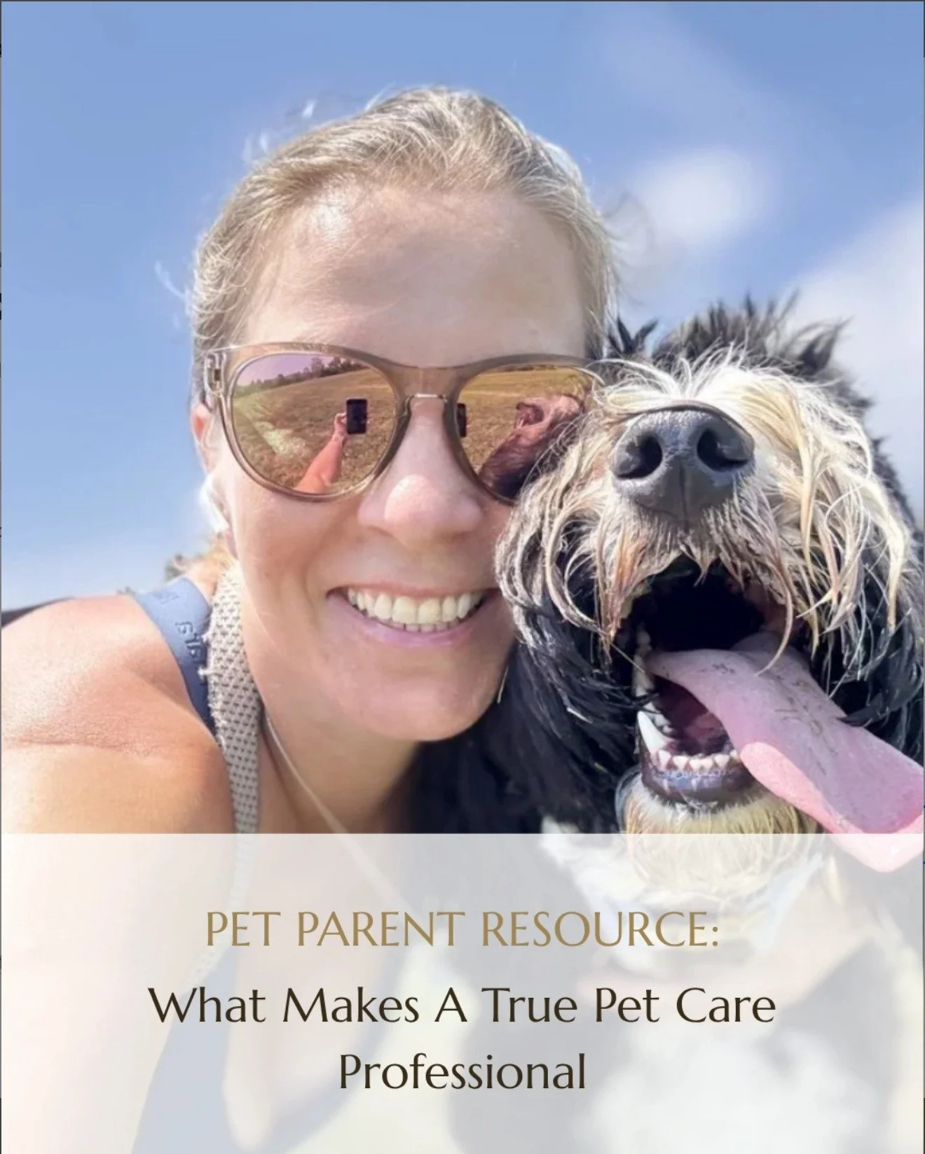 What should you look for in a Pet Care Professional? 🐾

Exceptional pet care is about more than loving animals. It means prioritizing safety, communicating clearly, understanding each pet's unique needs, and knowing when to lean on a trusted network