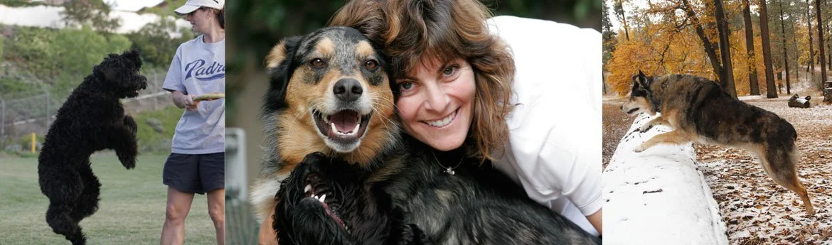 COMMUNITY Spotlight:&nbsp;Total K9