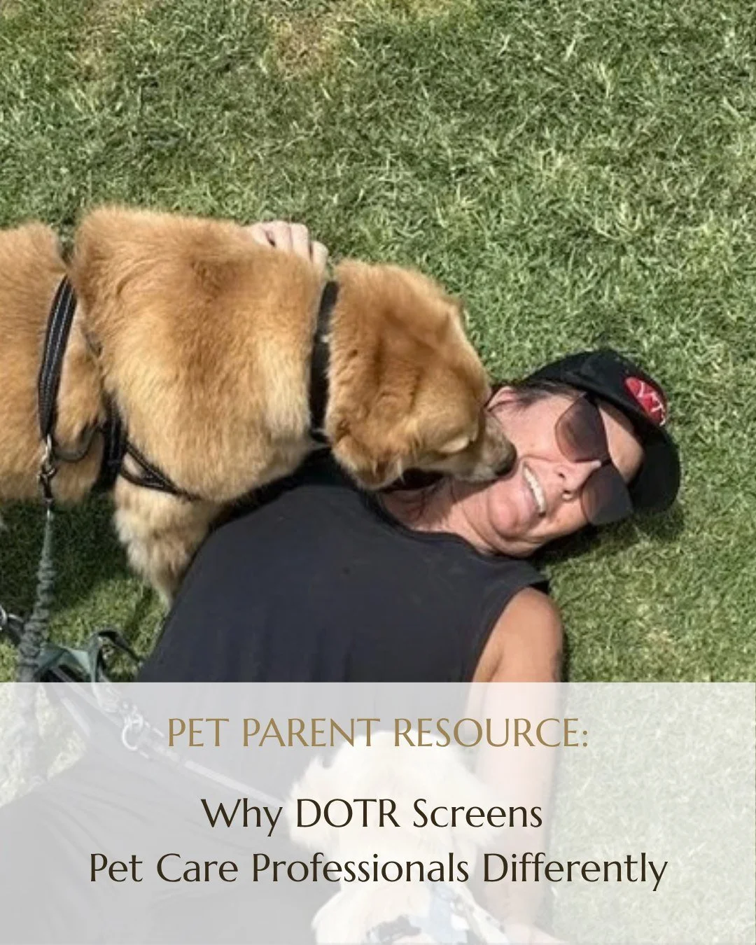 What happens before an independent Pet Care Professional becomes part of the Dogs On The Run&reg; community? 🐾

We look beyond the basics. Every independent Pet Care Professional is background-checked, licensed, and insured, while also being evaluat