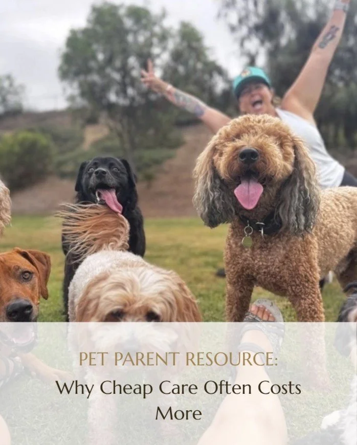 When comparing pet care, it's easy to look at the price and stop there. But what goes into that price matters. 🐾

Insurance. Background checks. Licensing. Training. Safety. Preparation. Professional support.

These things may happen behind the scene