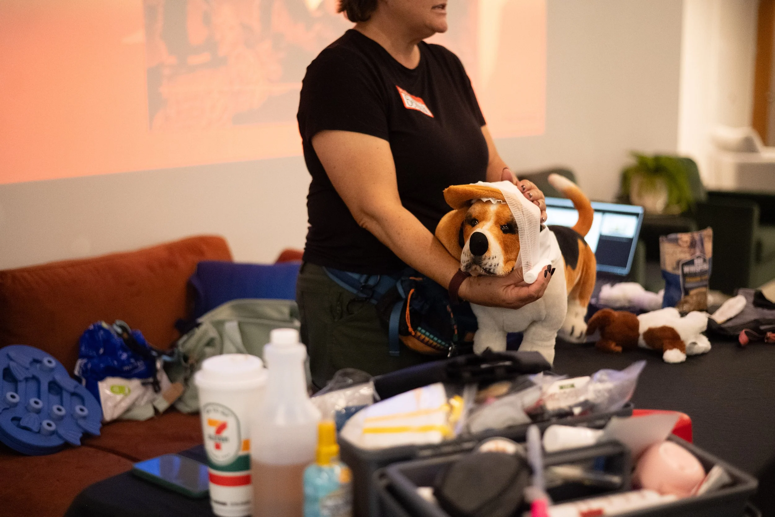 Pet First Aid Instructor holding stuffed animal with bandages demonstrating first aid basics