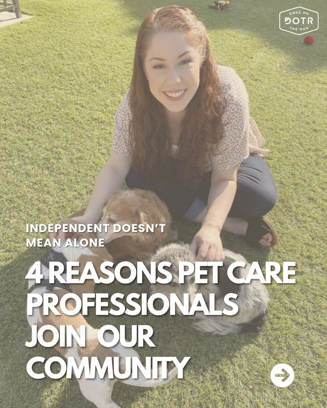 Being an independent Pet Care Professional means running your own business. It does not have to mean running it by yourself!

Independent Pet Care Professionals in the DOTR community get insides into a growing library of field-tested guidance, regula
