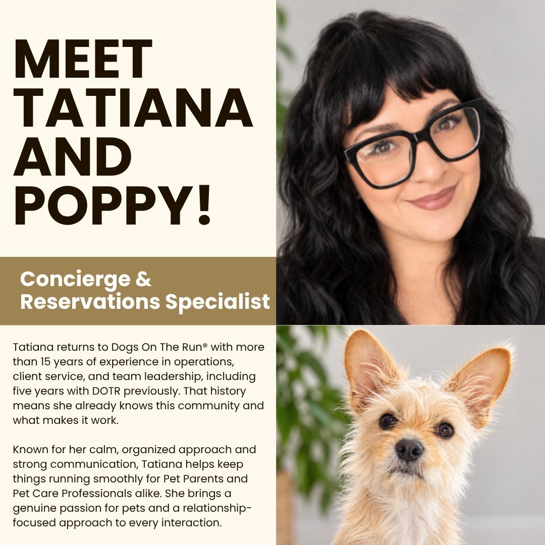 Tatiana spent five years with Dogs On The Run&reg; before, and we could not be happier to have her back as our Concierge and Reservations Specialist. She brings more than 15 years in operations and client service, a calm and organized way of handling