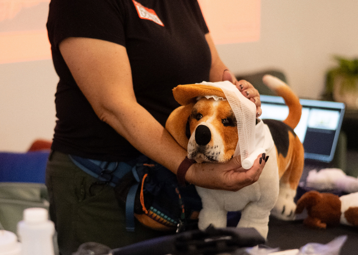 Pet First Aid Basics: Being Prepared For The Unexpected