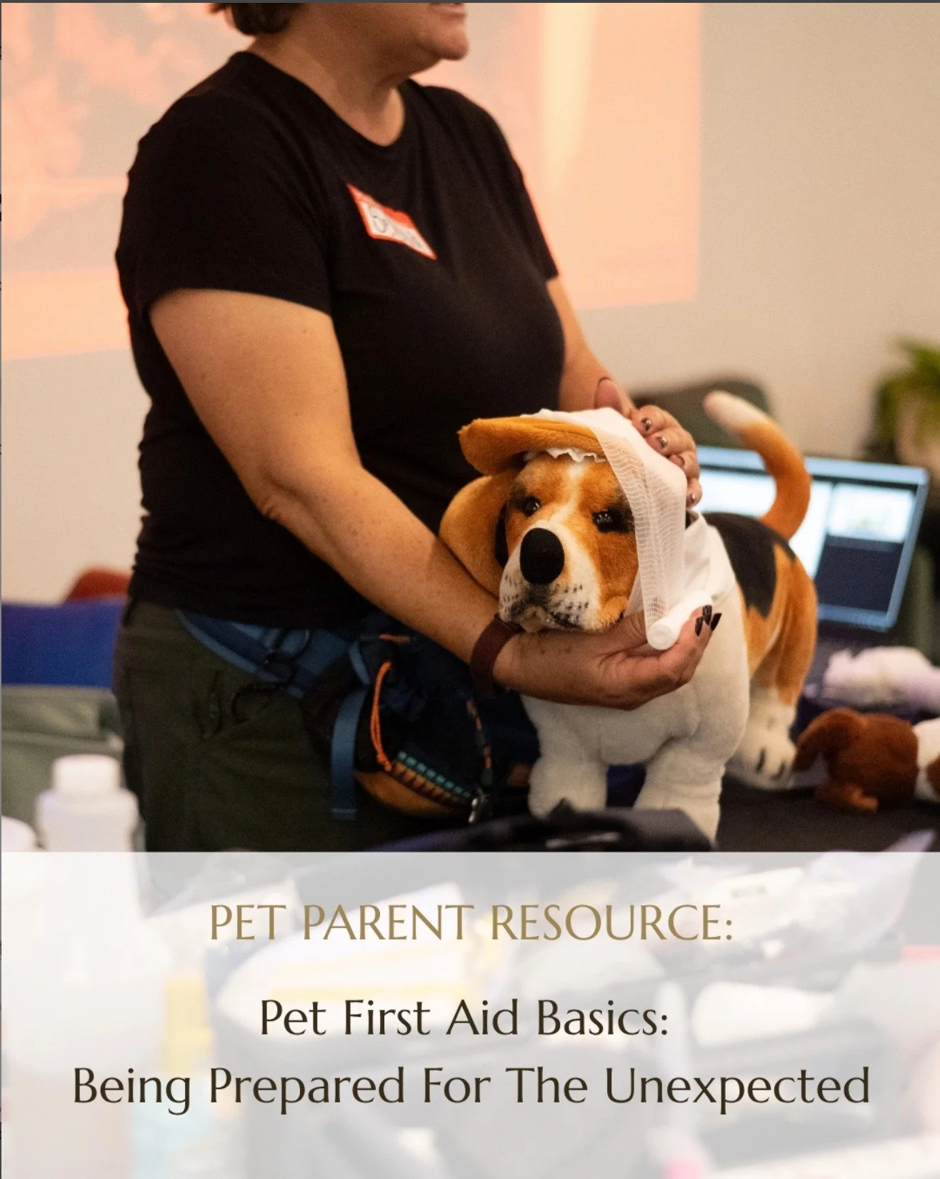 Would you know what to do if your pet experienced an emergency?
Having basic first-aid supplies and knowing when to seek veterinary care are important parts of being prepared. But hands-on education can take that preparedness even further.

Our lates