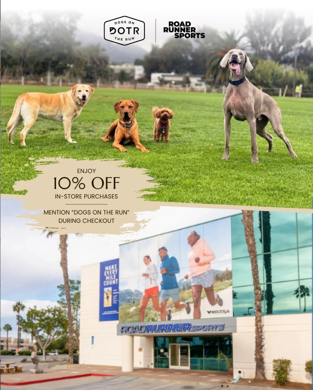 Every great walk or run starts with the right support - and that&rsquo;s what makes our partnership with Road Runner Sports such a perfect fit! 👟 

Mention &ldquo;Dogs On The Run&rdquo; at checkout and enjoy 10% off in-store purchases or save up to 