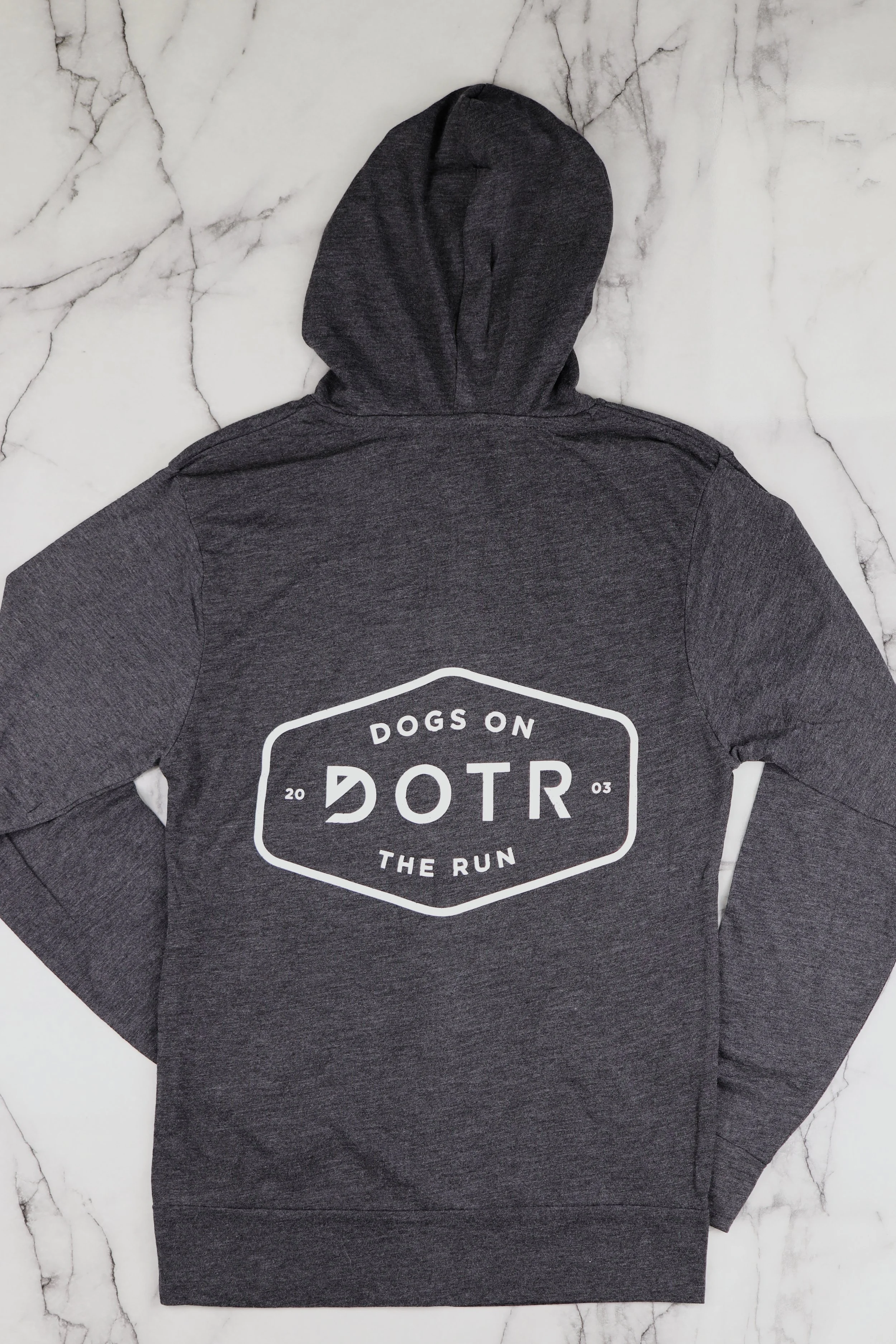 grey hoodlie back.jpg
