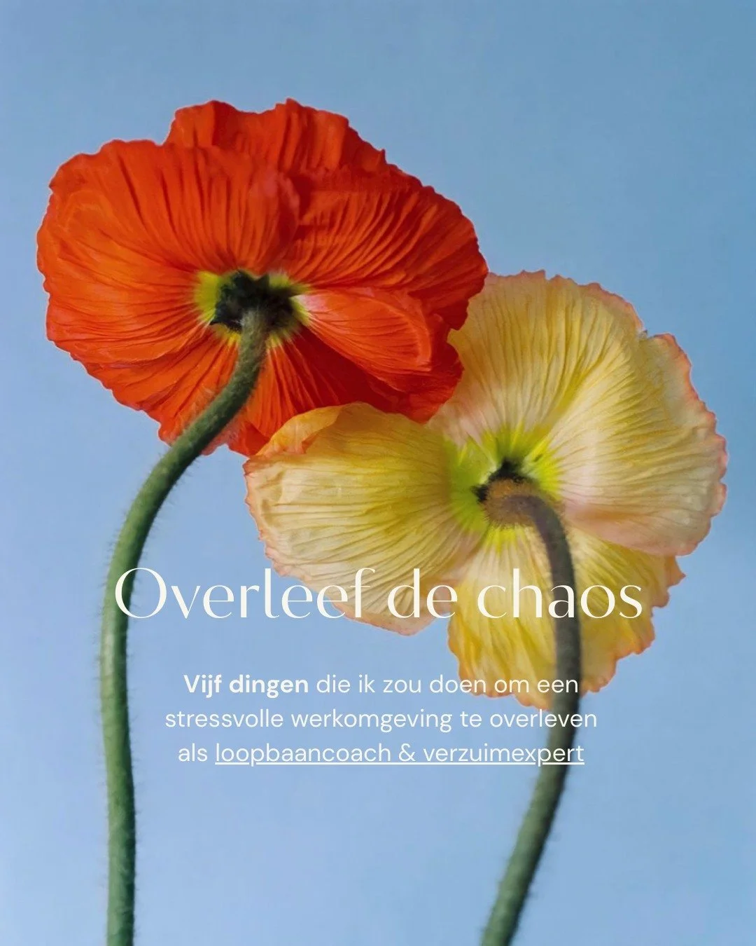 Niet iedereen kan nu weggaan uit een stressvolle baan. Soms zit je vast; financieel, contractueel of gewoon omdat de timing niet klopt. Alhoewel je de situatie op werk niet altijd kan veranderen, kun je jezelf wel beschermen. 

Dit zijn vijf dingen d