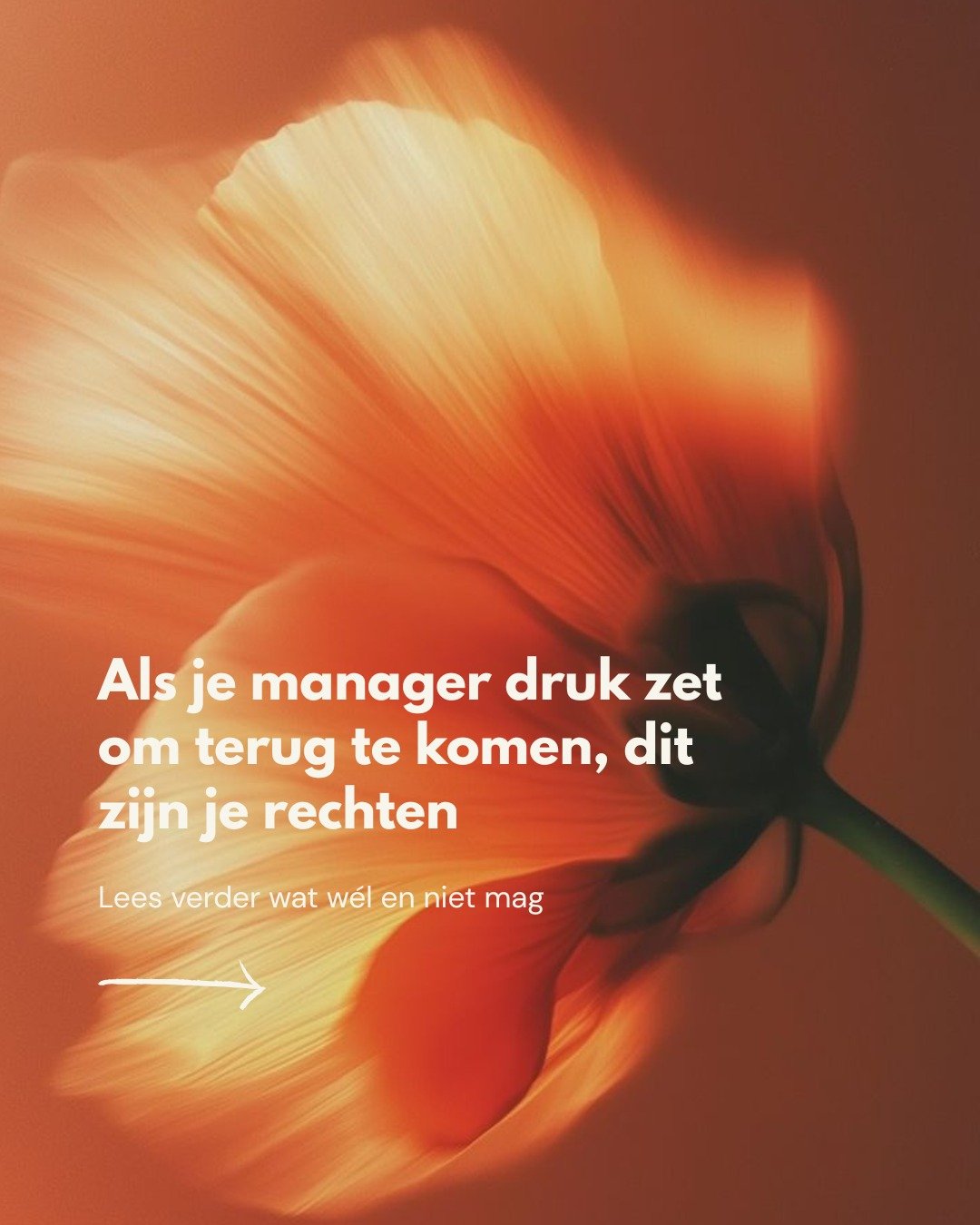 Het komt vaker voor dan je denkt: je bent nog in verzuim, maar je manager vraagt wanneer je terugkomt. Hij/zij dwingt je niet direct, maar suggereert dat je "toch wel een paar uur kunt werken". Of nog subtieler: hij/zij laat doorschemeren d