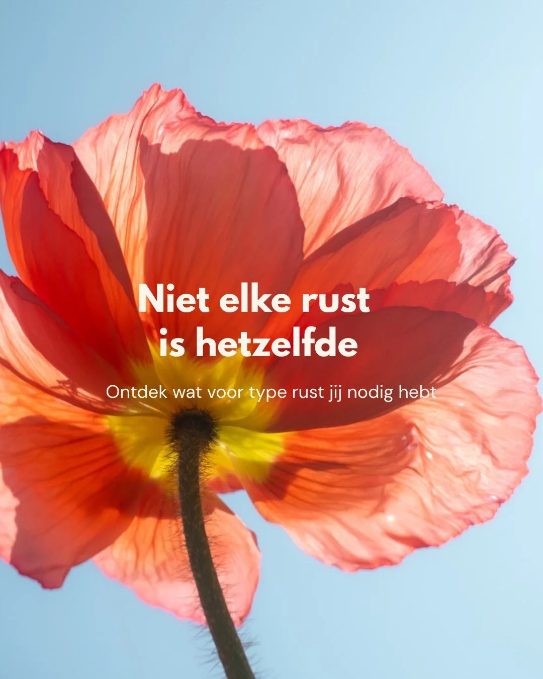 Rust hebben we allemaal nodig, maar het is soms lastig aan te voelen waar je precies behoefte aan hebt. Als je sociaal moe bent maar een weekend met vrienden plant, herstel je niet. Als je mentaal uitgeput bent maar bezig blijft met taken, herstel je