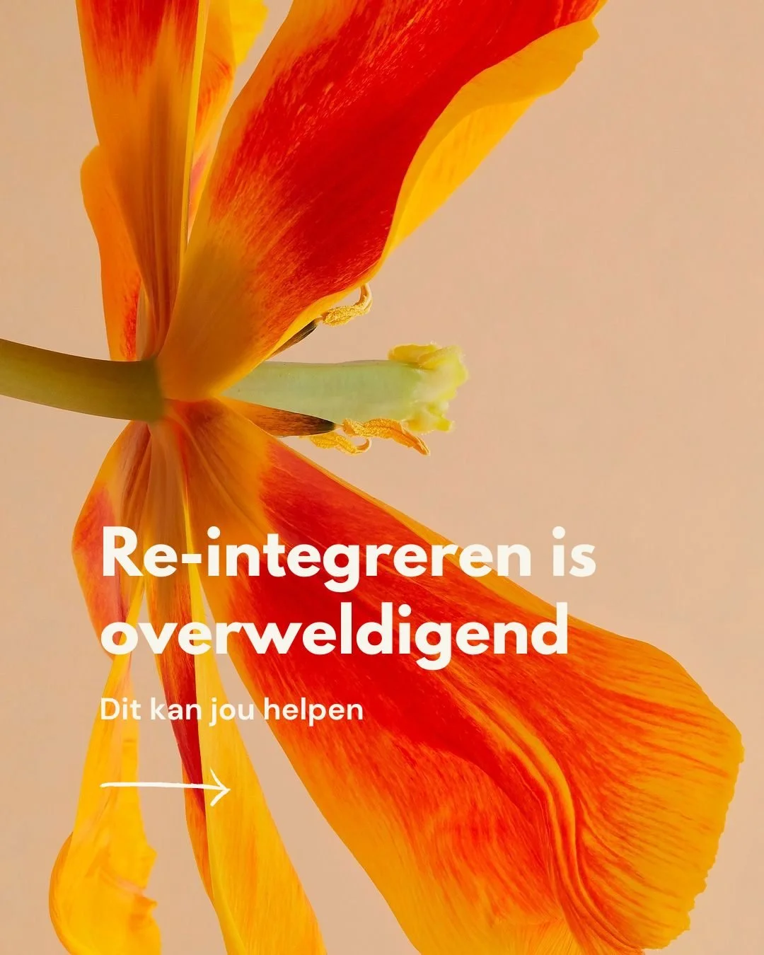 5 dingen die jouw re-integratie makkelijker maken.

Re-integratie is vaak ingewikkelder dan verwacht. Je voel je onzeker, weet niet of het lukt. Je voelt druk om snel weer "normaal" te zijn. Je voelt je schuldig naar je werkgever. En dit al