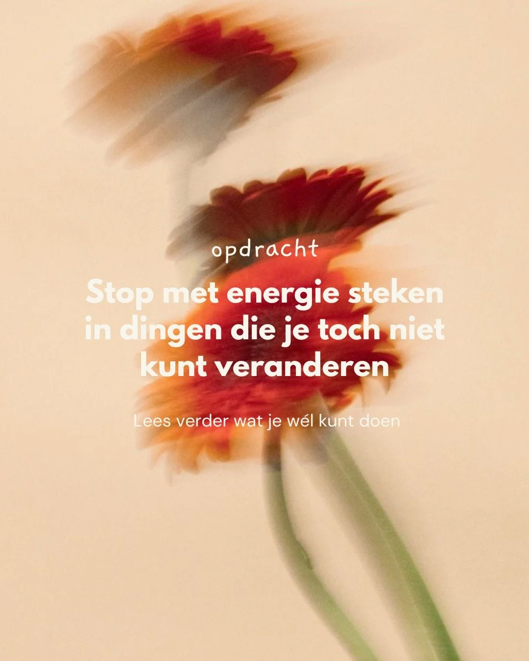 De cirkel van invloed en betrokkenheid: een belangrijke tool om te zien waar je energie naartoe gaat. Als je gestrest bent, voelt alles belangrijk. Maar niet alles waar je je zorgen over maakt, kun je be&iuml;nvloeden.

Deze cirkel helpt je zien:
☘️ 