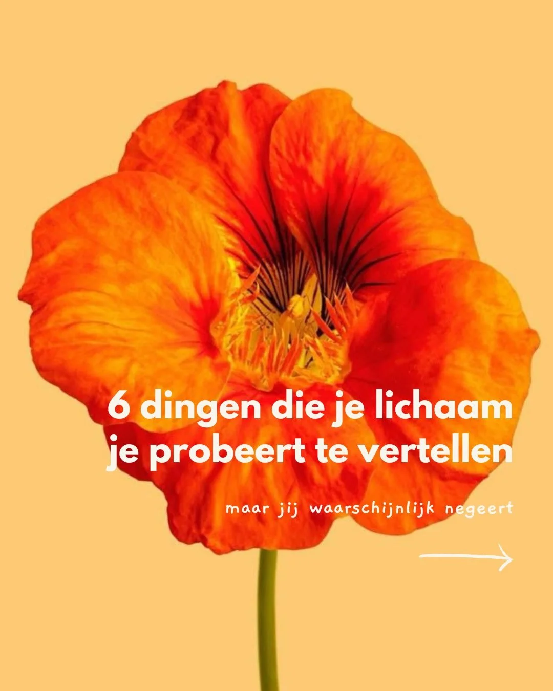 6 dingen die je lichaam je probeert te vertellen (maar die je negeert).

☘️ Hoofdpijn (vooral einde dag): je brein heeft pauze nodig
☘️ Slecht slapen: je zenuwstelsel staat nog aan
☘️ Korte lontje: je systeem is overbelast
☘️ Vergeetachtig: je brein 